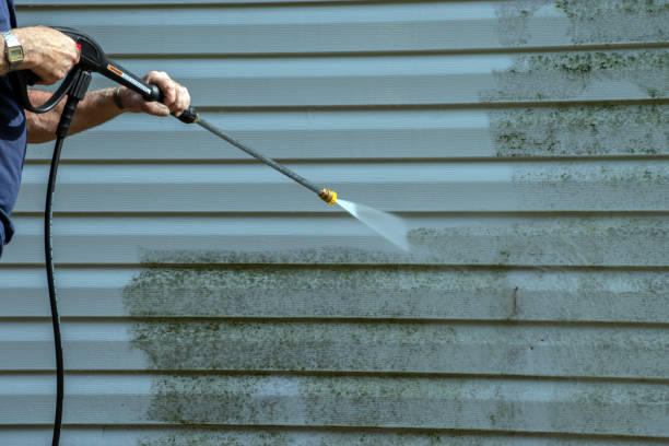 Best Driveway Pressure Washing  in Lumber City, GA